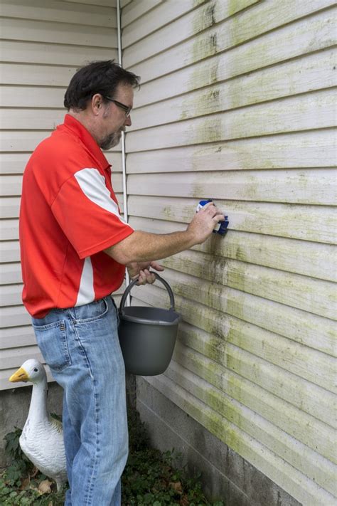 mildew on vinyl siding